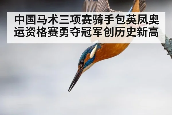 中国马术三项赛骑手包英凤奥运资格赛勇夺冠军创历史新高