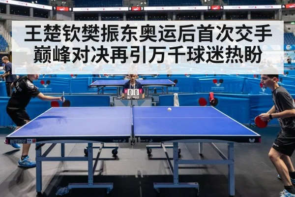 table tennis match action